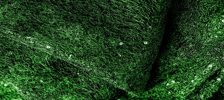 Texture, pattern, lace fabric in green on a white background. This is a subtle and classy lace of medium weight and is perfect for your design, overlays for backgrounds, other accentsの写真素材
