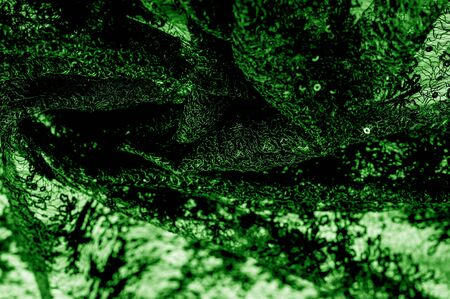 Texture, pattern, lace fabric in green on a white background. This is a subtle and classy lace of medium weight and is perfect for your design, overlays for backgrounds, other accentsの写真素材