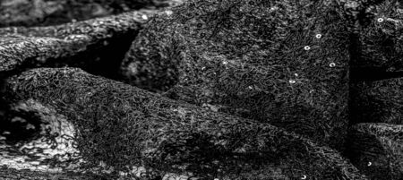 Texture, pattern, lace fabric in black on a white background. This beautiful double Gallon woven fabric is crisp and versatile, with a moderate amount of draped and floral motifs.の写真素材