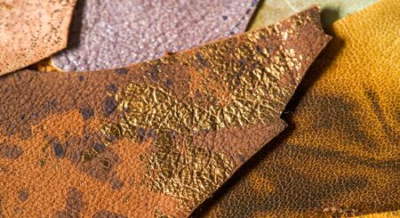 texture background pattern. decorative animal skin, bright colors painted. The panel is made by the...