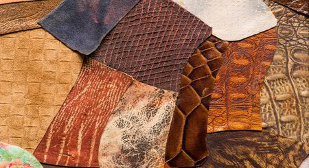 texture background pattern. decorative animal skin, bright colors painted. The panel is made by the artist. Screen printing on the skin of the animal This patterned animal is perfect for your designの写真素材