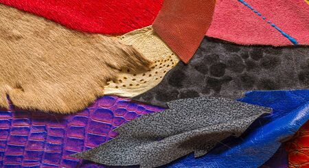 texture background pattern. decorative animal skin, bright colors painted. The panel is made by the...