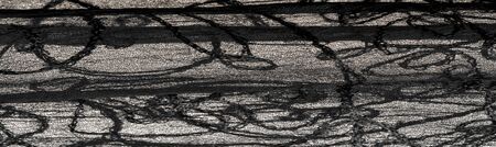 Texture background pattern, silk fabric, black lace pattern, high definition can make your computer...