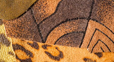texture background pattern. decorative animal skin, bright colors painted. The panel is made by the...