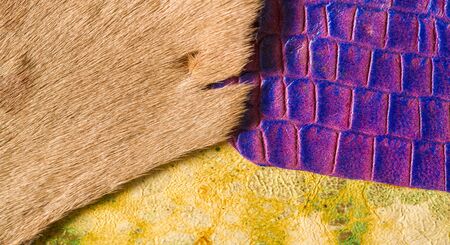 texture background pattern. decorative animal skin, bright colors painted. The panel is made by the...