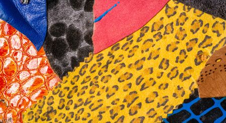 texture background pattern. decorative animal skin, bright colors painted. The panel is made by the artist. Screen printing on the skin of the animal This patterned animal is perfect for your designの写真素材