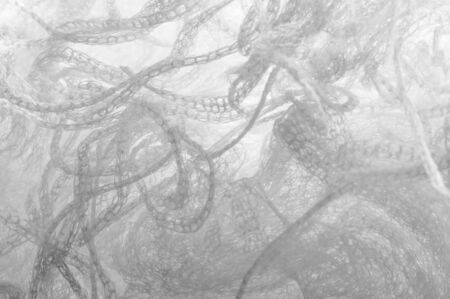 Texture background pattern white fabric in a mesh Thanks to a unique combination and clean design this is an impressive fabric It is great for all kinds of your design, decor, decorations, wallpapersの写真素材