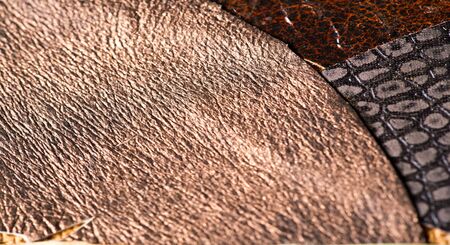 texture background pattern. decorative animal skin, bright colors painted. The panel is made by the artist. Screen printing on the skin of the animal This patterned animal is perfect for your designの写真素材