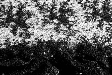 Texture, pattern, lace fabric in black on a white background. This beautiful double Gallon woven...