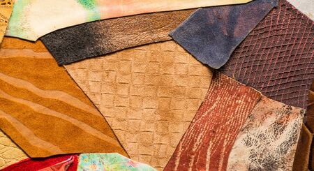 texture background pattern. decorative animal skin, bright colors painted. The panel is made by the artist. Screen printing on the skin of the animal This patterned animal is perfect for your designの写真素材