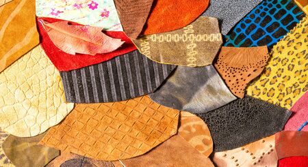 texture background pattern. decorative animal skin, bright colors painted. The panel is made by the artist. Screen printing on the skin of the animal This patterned animal is perfect for your designの写真素材