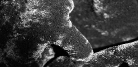 The background texture, pattern, sheepskin are used to make leather goods made of sheepskin and soft woolen clothes or coverings on the lining, including gloves, hats, slippers, footboards for feet,の写真素材