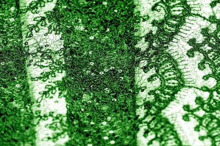 Texture, pattern, lace fabric in green on a white background. This is a subtle and classy lace of medium weight and is perfect for your design, overlays for backgrounds, other accentsの写真素材