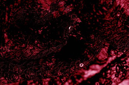 Texture, pattern, lace fabric in red on a white background. Delicate and classic, this sheer lace has no significant stretch and pearlescent shine. Suitable for your design wallpapers and postersの写真素材