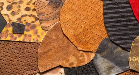 texture background pattern. decorative animal skin, bright colors painted. The panel is made by the artist. Screen printing on the skin of the animal This patterned animal is perfect for your designの写真素材