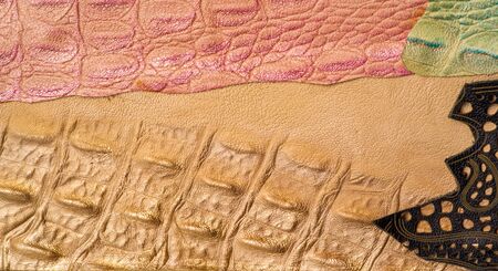 texture background pattern. decorative animal skin, bright colors painted. The panel is made by the artist. Screen printing on the skin of the animal This patterned animal is perfect for your designの写真素材