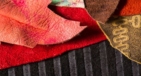 texture background pattern. decorative animal skin, bright colors painted. The panel is made by the...
