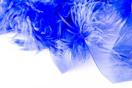 Texture, background, drawing. feather bird painted blue. A wonderful addition to any design or accessory, perfect for adding glam to the most basic fashion applications.の写真素材