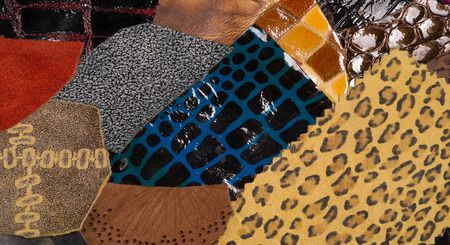 texture background pattern. decorative animal skin, bright colors painted. The panel is made by the...