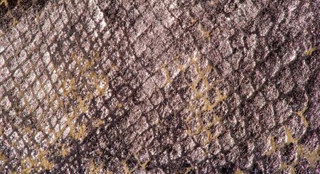 texture background pattern. decorative animal skin, bright colors painted. The panel is made by the...