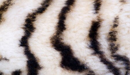 Texture, fur, Figure. Painted sheepskin under the leopard. a sheep's skin with the wool on. cover the surface of (something) with paint, as decoration or protection.の写真素材