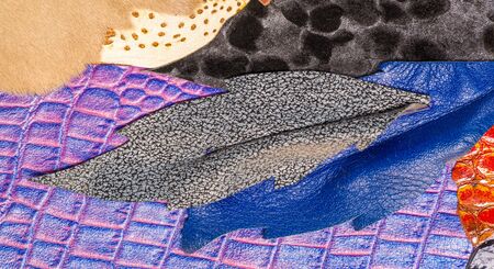 texture background pattern. decorative animal skin, bright colors painted. The panel is made by the artist. Screen printing on the skin of the animal This patterned animal is perfect for your designの写真素材