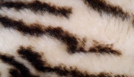 Texture, fur, Figure. Painted sheepskin under the leopard. a sheep's skin with the wool on. cover...