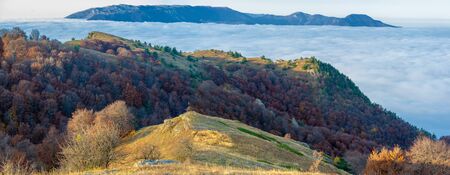 Autumn photos of the Crimean peninsula. High in the mountains above the clouds. Beech, pine,...