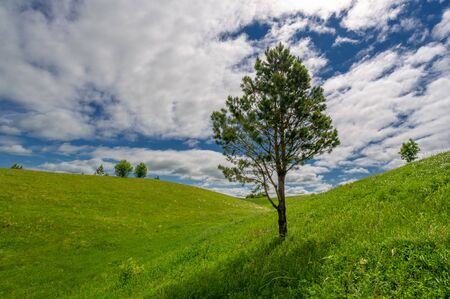 Spring photography, meadows, fields, ravines, hills, rural landscape. A deep, narrow gorge with...