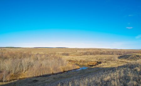 Autumn winter landscape, november. The end of the month. A sad, gloomy season, nature is waiting for...