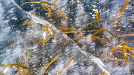 There is frost on the street, ice on the river, ice bubbles stuck in ice, unusually colorful ice architectureの写真素材