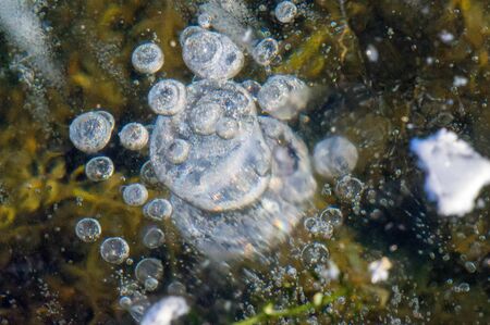 Texture pattern background white Winter, river ice air bubbles stagnant. drawing on ice frost...