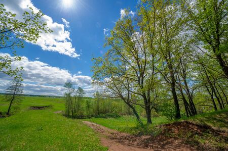 Spring photography, fields, meadows, spring beauty of ravines, amazing blue sky in white fluffy...