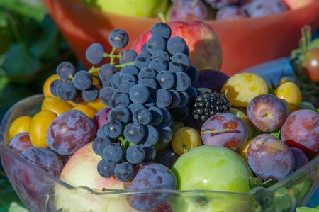 Fair farm gifts in all their splendor, watermelons, melons, pumpkins, grapes, apples, peppers, plums, raspberries, blackberries, eggplant and bright greens adorn the exhibition tablesの写真素材