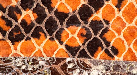 texture background pattern. decorative animal skin, bright colors painted. The panel is made by the...
