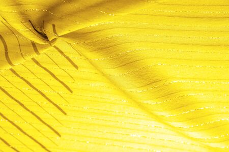 Design background texture, yellow amber fabric with lurex stripes, perfect for a fresh and...