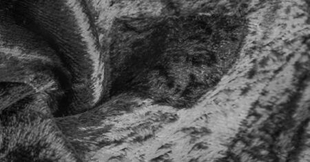 Texture, background, pattern, design, black and white velvet fabric, dense fabric of silk, cotton or nylon with a thick short pile on one side.の写真素材