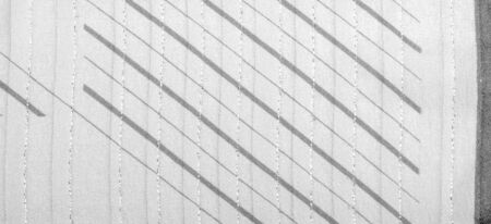 Design background texture, black and white fabric with Lurex stripes, perfect for a fresh and...
