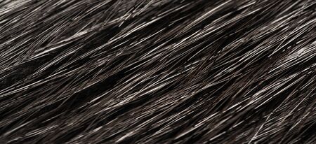 Background texture, decorative ornament, fur of wild animal waterfowl, nutria, a large semiaquatic...
