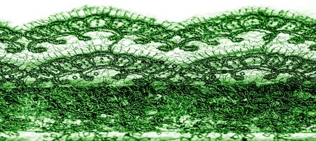 Texture, pattern, lace fabric in green on a white background. This is a subtle and classy lace of medium weight and is perfect for your design, overlays for backgrounds, other accentsの写真素材