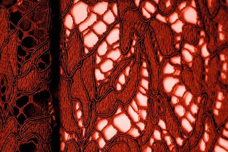 Texture, background, pattern, red lace fabric, delicate embossed lace fabric, scalloped on both edges. Suitable for your projects, design, etc.の写真素材