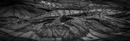 Background texture, Black and white silk fabric, silver. titanium. floral pattern, corrugation, reef, undulation, undulation, ripples, a small wave or a series of waves on the surface of the fabric,の写真素材