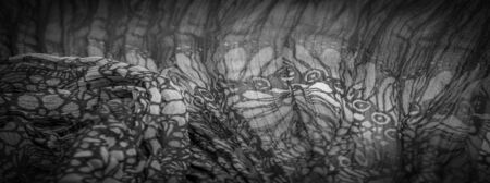 Background texture, Black and white silk fabric, silver. titanium. floral pattern, corrugation, reef, undulation, undulation, ripples, a small wave or a series of waves on the surface of the fabric,の写真素材