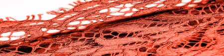 Texture, background, pattern, red lace fabric, delicate embossed lace fabric, scalloped on both...