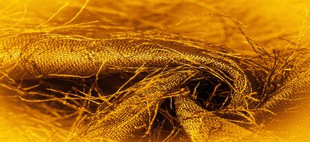 Background texture, decorative ornament, yellow gold silk fabric, woven threads on the fabric,...