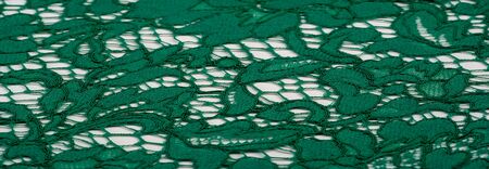 Texture, background, pattern, green lace fabric, Tender embossed lace fabric, scalloped on both edges. Suitable for your projects, design, etc.の写真素材