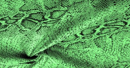 Texture, background, pattern, fabric with a green snake skin pattern, African fabric, designer photo - safari in the country of Africaの写真素材
