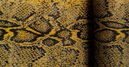 Texture, background, pattern, fabric with a pattern of yellow snake skin, African fabric, designer photo - safari in the country of Africaの写真素材
