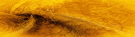 Background texture, decorative ornament, yellow gold silk fabric, woven threads on the fabric,...
