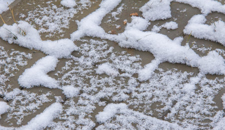 We got our first snow of the season during the night, dusting in the fall with sugar in the winter....